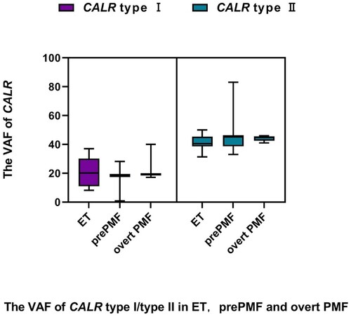 Figure 1. The VAF of CALR type I/type II found in 77 patients with ET, prePMF and overt PMF.