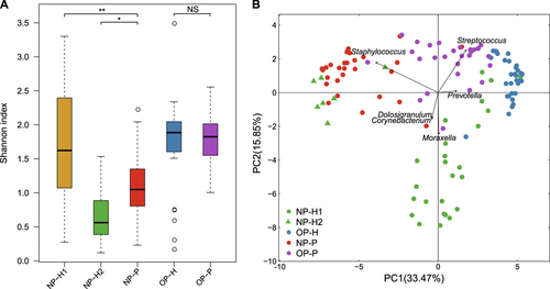 Fig. 1 Nasopharyngeal (NP)/oropharyngeal (OP) microbiota structure in Mycoplasma Pneumoniae pneumonia (MPP) patients and healthy children.a Shannon index of NP and OP microbiota in patients and healthy infants; healthy NP samples were further divided into NP-H1 and NP-H2. Asterisk (*) and (**) represent p-values of ≤0.05 and ≤0.01. NS represents not significant. b Principal component analysis (PCA) of NP and OP samples. Points colored green, blue, red and purple represent samples from NP-H1, NP-H2, OP-H, NP-P, and OP-P, respectively