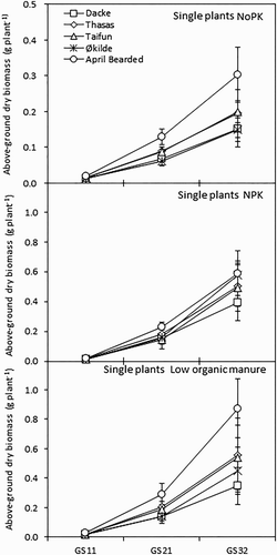 Figure 1. Above-ground dry biomass of spring wheat genotypes in the plots of single plants during the early growth stages in 2013. Values are means ± standard error (SE).