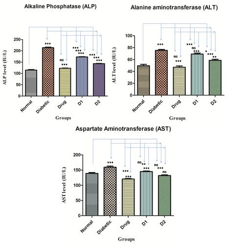 Figure 4 The comparison of PFA-extract effects on ALP (alkaline phosphatase), ALT (alanine aminotransferase), and AST (aspartate aminotransferase) in rats. All the data were presented as mean ± SD. Groups are; normal control, diabetic control, drug control (metformin 100 mg/kg), D1 (dosing group 1; 250 mg/kg), and D2 (dosing group 2; 500 mg/kg). ***Denotes P< 0.0001, **P< 0.001, *P< 0.05, and ns denotes ‘no level of significance’ versus normal control, diabetic control and drug control.