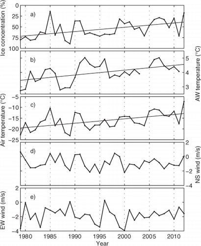 Fig. 6 Winter (DJFM) averaged sea ice concentration (a), AW temperature (b), air temperature (c), north–south wind component (positive from the south) (d), and east–west wind component (positive from the west) (e), 1979–2012. Note that the ice concentration (a) is inverted. Statistical significant linear trends (95%) are indicated by straight lines.