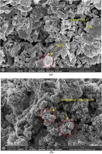 Figure 15. SEM micrograph of M80G20 mortar mixture produced with normal sand: (a) after 7 days of exposure to NaOH solution; (b) after 20 days of exposure.