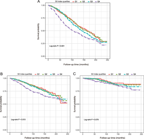 Figure 8 Kaplan-Meier survival curve for all-cause (A), CVD (B and C) cancer-related mortality in angina pectoris patients.