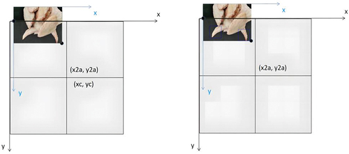 Figure 6. Example map of chicken part image filling (where (xc,yc) are randomly selected coordinates of the splicing center).