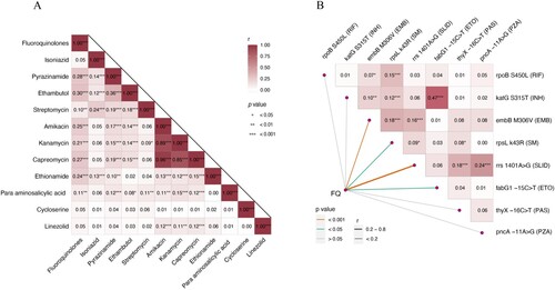 Figure 3. Correlation analysis between FQ and resistance to other anti-TB drugs. (A) The heatmap of the correlation between each drug pair. (B) The heatmap of the correlation between each of the most frequently drug-resistant mutation pair, and their correlation between FQ-R and FQ-S strains. p values were calculated using the chi-square test and Fisher’s exact test (when the minimum theoretical frequency was <1). Use the phi-coefficient (r) to measure the degree of correlation between two categorical variables and numerical values in the figure indicate the degree of correlation. Abbreviations: RIF, Rifampicin; INH, Isoniazid; PZA, Pyrazinamide; EMB, Ethambutol; SM, Streptomycin; SLID, Second-Line Injectable Drugs (amikacin; capreomycin; kanamycin); ETO, Ethionamide; PAS, Para-aminosalicylic acid; FQ, Fluoroquinolones.