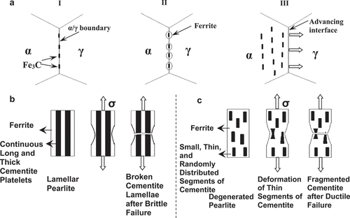 Figure 20. A schematic illustration of formation of degenerate pearlite and its influence on toughness (adapted from reference [Citation37]). When cementite is distributed in pearlite with a fine rod or platelet phase, it is referred as”degenerate pearlite” or sometimes as “nodular bainite”..