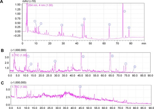 Figure 2 HPLC and Q-TOF-MS chromatograms of HGF extract.