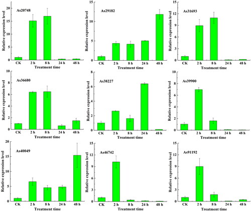 Figure 8. Expression profiles of AsWRKY genes in garlic under salt treatment.