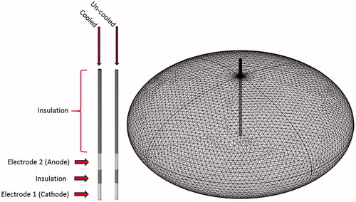Figure 1. Illustration the cooled and uncooled applicators and overview of the tetrahedral meshing of the model. The cooled applicator model includes a heat flux boundary condition placed on the inside of the hollowed out probe. The uncooled applicator does not include the heat flux boundary condition and is solid throughout.
