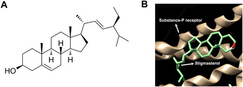 Figure 1. Potential combination between stigmasterol and Substance P receptor (NK1-R). (A) 2D chemical structure of stigmasterol; (B) AutoDock Vina docking technology was used to analyze the binding between stigmasterol and Substance P receptor.