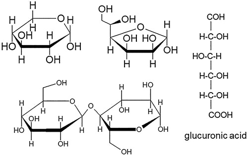 Figure 1. Structure of xylopyranose (left) and manofuranose (middle) and structure of uronic acid (right); Structure of disaccharide by linkage of both monosaccharides through glycosidic linkage (down).