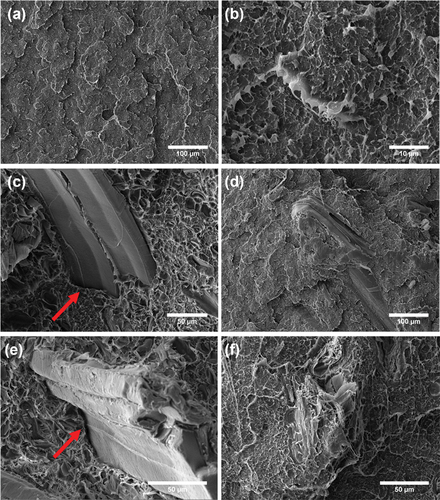 Figure 9. SEM micrographs of the fracture surfaces of (a,b) neat HDPE, (c) HDPE_10PV, (d) HDPE_10PV_5CA, (e) HDPE_20PV and (f) HDPE_20PV_5CA.