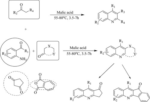 Scheme 66. Synthesis of quinolines using malic acid as biocatalyst.