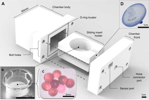 Figure 3. The 3 D printed cell culture bioreactor pressure chamber. (A) A 3 D printed bioreactor culture chamber was designed with a removable sliding tray to hold (B) a standard transwell insert containing (C) microspheres of tissue engineered cartilage which could be assembled in a sterile flow hood and made gas-tight using four simple bolts and a 4 mm neoprene O-ring as a gasket. The chamber was (D) connected to the main bioreactor pressure outlet via a pressure hose with an inline sterile 25 mm (0.4 μm) syringe filter to sterilize the input air which fitted into a recess on the inside of the chamber front. The scale bars in Figure 3A, B, and D are 1 cm and 3 mm in Figure 3C.