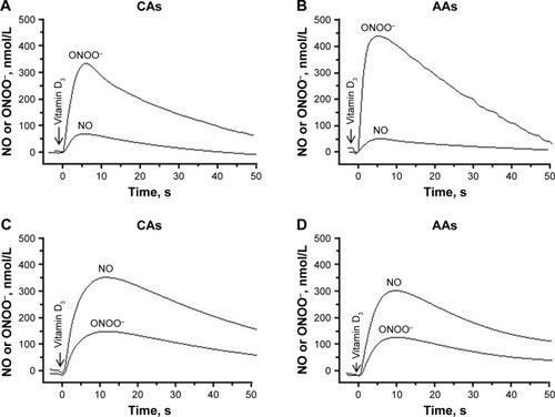 Figure 2 Typical amperograms showing the vitamin D3 (1 µmol/L)-stimulated changes of nitric oxide (NO) and peroxynitrite (ONOO−) concentrations, with time, in a cellular model of hypertension.Notes: Human umbilical vein endothelial cells of Caucasian Americans (CAs) and African Americans (AAs) were incubated with angiotensin II (Ang II) (1 µmol/L for 4 hours) in the absence (A and B) and presence (C and D) of vitamin D3 (100 nmol/L). After incubation with Ang II, cells were washed with buffer and after 30 minutes were then stimulated with vitamin D3 (1 µmol/L) to release NO and ONOO−.