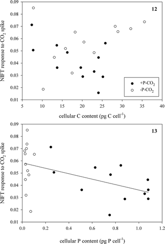 Figs 12, 13. Extent of NIFT response to a CO2-spike (100 µM) over cellular C content (Fig. 12) and cellular P content (Fig. 13) in low CO2 batch cultures of Chlamydomonas acidophila. In Fig. 13, line represents a significant (Pearson correlation; r = −0.52, P < 0.05) correlation.
