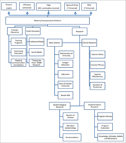 Figure 1. Supports required for the establishment of a “maternal immunization platform.” HIC: High-income countries; LMIC: Low- and middle-income countries; RSV: Respiratory Syncytial Virus; Tdap: Tetanus, diphtheria, and acellular pertussis vaccine