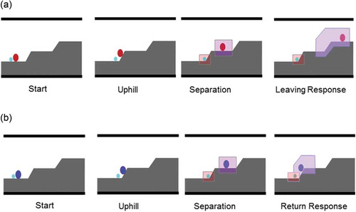Figure 1. Frames from the Start, Uphill, Separation, Leaving Response (a) and Return Response segments (b) of the animation. Areas of interests (AOIs) for the two figures during the Separation and Response segments are shown (not visible during the presentation).