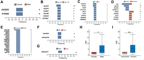 Figure 4 The association between clinical variables and gene mutation status. (A) AASDH and PTPRK mutation differentiated between female and male. (B) NLRP3, AKAP2, ALMS1, PALM2, SOGA3, SPTBN1 mutation were frequently seen in PSC patients older than 65-year-old. (C) Gene mutation that are more frequently seen in PSC patients with stage III. (D) Gene mutations that are differentially expressed between smokers and non-smokers among PSC patients. (E) Genes that are mutated more frequently in non-spindle PSC patients. (F) Mutated genes that differentially expressed between mix and pure PSC. (G) SIGLEC1 mutation is frequently seen in dead PSC patients. (H) Male PSC patients harbor higher TMB than their female counterpart. (I). Smokers harbor higher TMB than non-smoker among PSC patients. *:p < 0.05; **: p < 0.01.