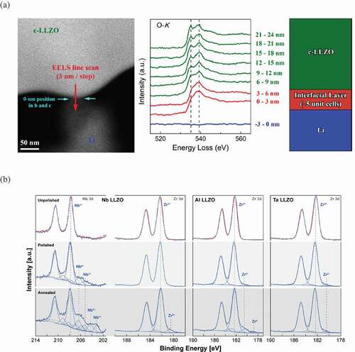 Figure 4. LLZO chemical stability toward metallic Li. (a) HAADF-STEM image of c-LLZO in situ contacted with Li (left). The O K-edges obtained in the EELS line scan (middle). Schematic illustration of the interfacial behavior suggested by the EELS line scan (right)[Citation56]. Reproduced with permission[Citation56]. Copyright 2016, American Chemical Society. (b) Nb 3d and Zr 3d core level XPS spectra from Nb-, Al-, and Ta-doped LLZO with unpolished (top), polished (middle) and UHV heated (bottom) surfaces before (red) and after (blue) Li deposition[Citation57]. Reproduced with permission[Citation57]. Copyright 2019, Wiley-VCH.