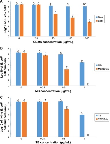 Figure 1 (A) Log10 of viable E. coli cell numbers after CDots treatment under the light or in the dark. (B) Log10 of viable E. coli cell numbers after 1-hour treatment with different concentrations of MB alone (0.25–1 μg/mL) and in combination with 5 μg/mL CDots under light illumination. (C) Log10 of viable E. coli cell numbers after 1-hour treatment with different concentrations of TB alone (0.25–1 μg/mL) and in combination with 5 μg/mL CDots under light illumination.Notes: Different letters above the bars for each concentration indicate statistical differences (P<0.05); identical letters above the bars indicate no statistical difference.Abbreviations: E. coli, Escherichia coli; MB, methylene blue; TB, toluidine blue; CDots, carbon quantum dots.