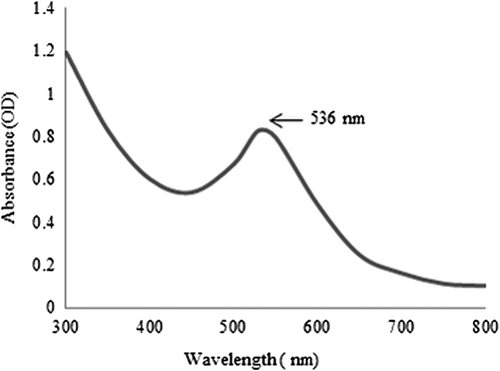 Figure 2. UV-vis spectra of reaction mixture contain F-shaped gold nanoparticles.