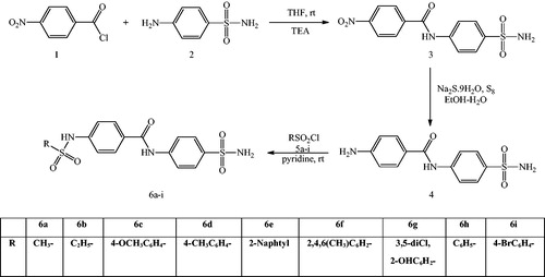 Scheme 1. Synthesis of novel sulfonamide derivatives.