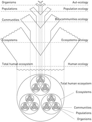 Figure 4. Zev Naveh and Arthur S. Lieberman’s illustration of landscape ecological systems with a hierarchical interactive structure of complex adaptive systems. Adapted based on Naveh and Lieberman (Citation2013, p. 75).