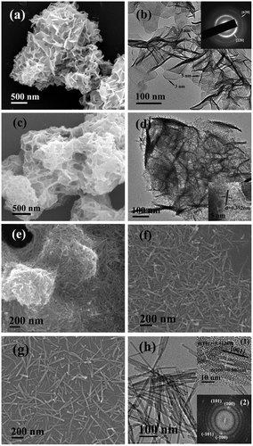 Figure 2. FE-SEM (a), (c), (e), (f), (g) and TEM (b), (d), (h) micrographs showing morphologies of the LHN (a), (b) and the four typical samples of S1 (c), (d), S2 (e), S3 (f), and S5 (g), (h). The insets in (b), (d), (h) are the corresponding SAED pattern, HR-TEM lattice image, and Fourier transform diffraction pattern, respectively. Samples S2, S3, and S5 were synthesized with an EDTA/(Gd0.95Eu0.05)3+ molar ratio (R) of 0.5.