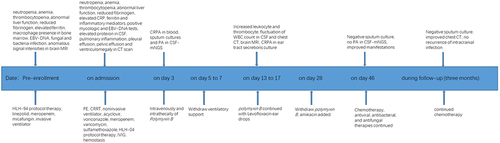 Figure 4 The timeline of the treatment and follow-up.
