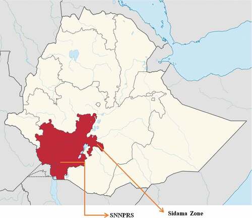 Figure 1. Map of Ethiopia, showing Southern Nations, Nationalities and Peoples’ Regional State SNNPRS & Sidama Zone (Credits: https://commons.wikimedia.org/wiki/File).