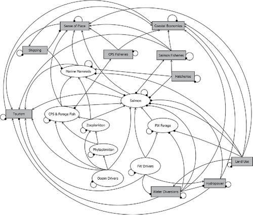 Figure 3. Combined conceptual models (salmon, coastal pelagic species (CPS) and forage fish, marine mammals, and human systems) used for qualitative network models (QNMs). FW, freshwater. Lines indicate links between components; an arrow indicates a positive effect (+) on the terminal group, while a dot indicates a negative (−) effect on the terminal group. A link with no arrow or dot is neutral (0) for the terminal group. The configuration of this QNM is for the “mixed control” system outlined in Scenario 1.