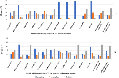 Figure 2 Antimicrobial susceptibility status of E. coli isolates from cattle (A) and in-contact humans (B). Red bars show proportion of isolates resistant, black bars proportion intermediate and green bars proportion susceptible to tested antimicrobials.