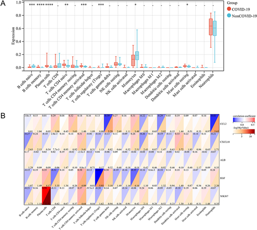 Figure 4 Immune infiltration analysis. (A) The ratio of 22 immune cells in COVID-19 samples. (B) Correlation between each of the immune cells and five hub genes. *p < 0.05; **p < 0.01; ***p < 0.005; ****p < 0.001; - p>0.05.