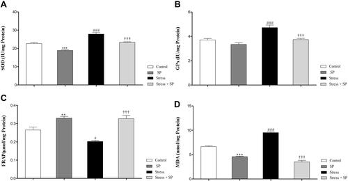 Figure 5 Oxidative stress markers and antioxidant enzymes activity in the amygdala of stressed or non-stressed rats subjected to SP treatment. Stressed rats showed increased SOD (A) and GPx (B) activities . FARP in the stress group was significantly lower (C) and MDA was significantly higher than control group (D). Data are expressed as mean±S.E.M. In (A, B, C, and D) #P = 0.01; ###P = 0.0001 than the corresponding control group; †††P = 0.0001 than the stressed group; **P = 0.001; ***P = 0.0001 than the control group. Five animals were used per each group.