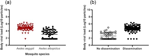 Figure 3. Viral loads in mosquito body according to mosquito species (a) and viral dissemination status (b). Bodies (abdomen plus thorax) were homogenized and supernatants were titrated on Vero cells. Seven days after, viral copies were detected by CPE after staining with crystal violet.