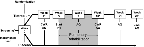 Figure 1 Study design of 25-week randomized, controlled trial of tiotropium in COPD patients receiving pulmonary rehabilitation.