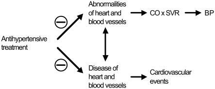 Figure 1 Possible relationship between heart and blood vessel abnormalities that influence cardiac output (CO) and systemic vascular resistance (SVR), thereby influencing blood pressure (BP), and heart and blood vessel diseases that cause cardiovascular events.