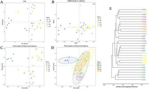 Figure 8. β-Diversity analysis. (A) The OUT-based Principal Component Analysis (PCA). (B) Non-metric Multi-Dimensional Scaling (NMDS) based on Jaccard distance. (C) Principal Co-ordinates Analysis (PCoA) based on Bray-Curtis distance. (D) PCoA based on Bray-Curtis distance with ellipses. (E) Clustering Dendrogram based on Unweighted UniFrac distance. Confidence ellipses represented the 95% confidence interval of each group.