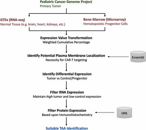Figure 1. Workflow for tumor-associated antigen (TAA) prediction