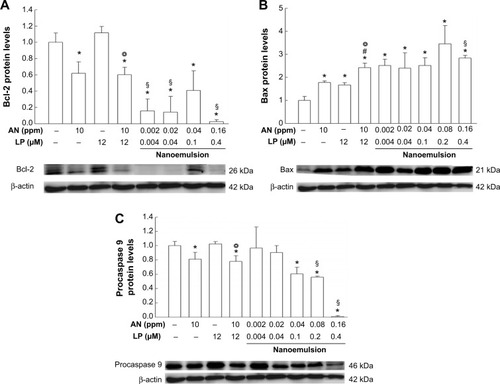 Figure 5 Effects of AN, LP, AN+LP, and nanoemulsion on the mitochondria-associated death signaling of HT-29 cells.Notes: The representative Western blot image and quantitative analysis of (A) Bcl-2, (B) Bax, and (C) procaspase 9 protein levels were analyzed in HT-29 cells in the various treated groups. HT-29 cells were cultured with the medium in the absence (control) and presence of AN, LP, AN+LP, nanoemulsion. Values are expressed as the mean ± SD (n=3). *P<0.05 compared to the control. ⌾P<0.05, the AN+LP group compared to the LP group. §P<0.05, compared to the AN+LP group. #P<0.05, the AN+LP group compared to the AN group.Abbreviations: AN, gold nanoparticles; LP, lycopene; SD, standard deviation; n, number of replicates.