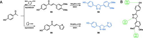 Scheme 13. (A) Synthesis of disubstituted 1,2-oxazole and 1,2-diazole based possible inhibitors of GlcN-6-P synthase, according to Ismail et al.Citation73 (B) Predicted binding mode of compound 55 at the ISOM active site; H-bonds are shown by dashed lines.