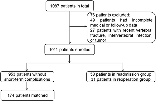 Figure 1 Flow chart of patient inclusion and exclusion. The exclusion criteria 1 and 2 are not shown in this figure, since patients with only lumbar disc herniation were excluded previously according to preoperative images, while patients with severe instability were excluded from the indications for lumbar endoscopy.