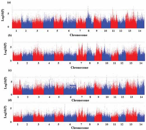 Figure 4. Significant SNPs associated with pectin identified at season 1 (June, 2018) (a) and season 2 (August, 2018) (b). Significant SNPs associated with hydrotrope identified at season 1 (June, 2018) (c) and season 2 (August, 2018) (d).