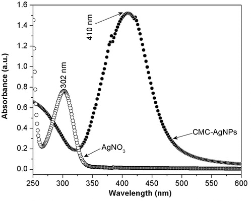 Figure 2. The spectrum obtained from CMC-AgNPs composite does not show an absorption band that agrees with that observed at 301 nm in the spectrum of AgNO3 reagent, but it shows a well defined band around 400 nm that is congruent with the surface plasmon resonance phenomenon reported for silver nanoparticles.