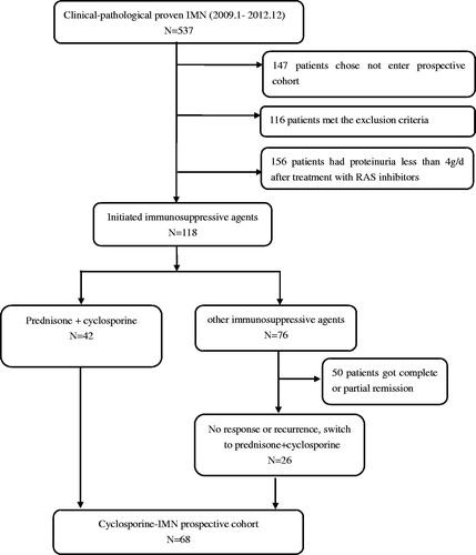 Figure 1. Patients recruitment flowsheet.