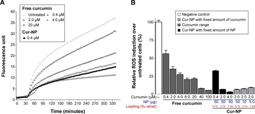 Figure 1 NP-formulated curcumin is more potent antioxidant that free curcumin.Notes: (A) A549 cells were loaded with H2DCF-DA then treated with TBHP and free (from 0 to 20 µM) or encapsulated (0.4 µM) curcumin. Fluorescence of H2DCF-DA was measured to quantify ROS induction. (B) A549 cells were treated as in (A). Various amounts of curcumin (by varying the load of curcumin into PLGA-NP) or various amounts of PLGA-NP (with the same of concentration of curcumin) were used to determine and compare the antioxidant activity of free and NP-formulated curcumin. Theoretical drug loading is indicated and results are expressed in mean ± SEM.Abbreviations: Cur-NP, curcumin-loaded PLGA-based NP; NP, nanoparticles; H2DCF-DA, 2′,7′-dichlorodihydrofluorescein diacetate; TBHP, tert-butyl hydroperoxide; PLGA, poly-lactic-co-glycolic acid; SEM, standard error of the mean; ROS, reactive oxygen species; wt, weight.