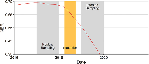Figure 4. Sampling design as exemplified for one pixel representing an infested area in 2018. The red line represents the changes in NBR values for one example pixel infested in 2018 over time. The left (right) gray column indicates the period covering the sampling of values representing healthy (infested) forest. The infestation occurred during the period represented by the orange box.