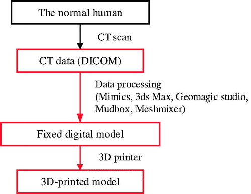 Figure 1. The model manufacture process. We collect CT data (DICOM files) and then process it with several software including Mimics, 3ds Max, Geomagic Studio, Mudbox, and Meshmixer to obtain the fixed digital model. Finally, we use a 3 D printer to print the model.