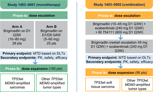 Figure 1 Trial design of brigimadlin as monotherapy (1403–0001) and in combination with ezabenlimab (1403–0002*).